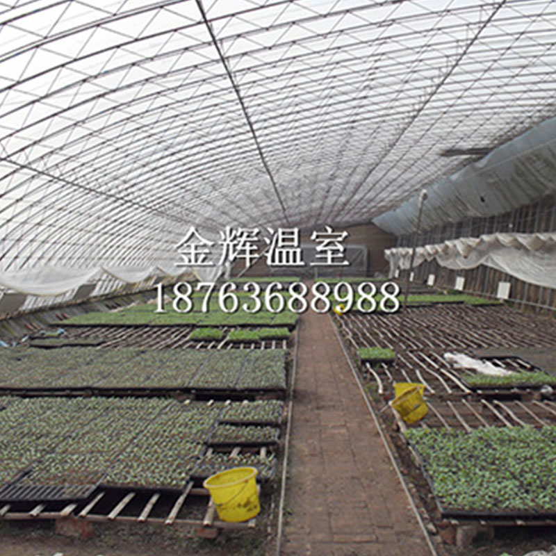 蔬菜瓜果大棚