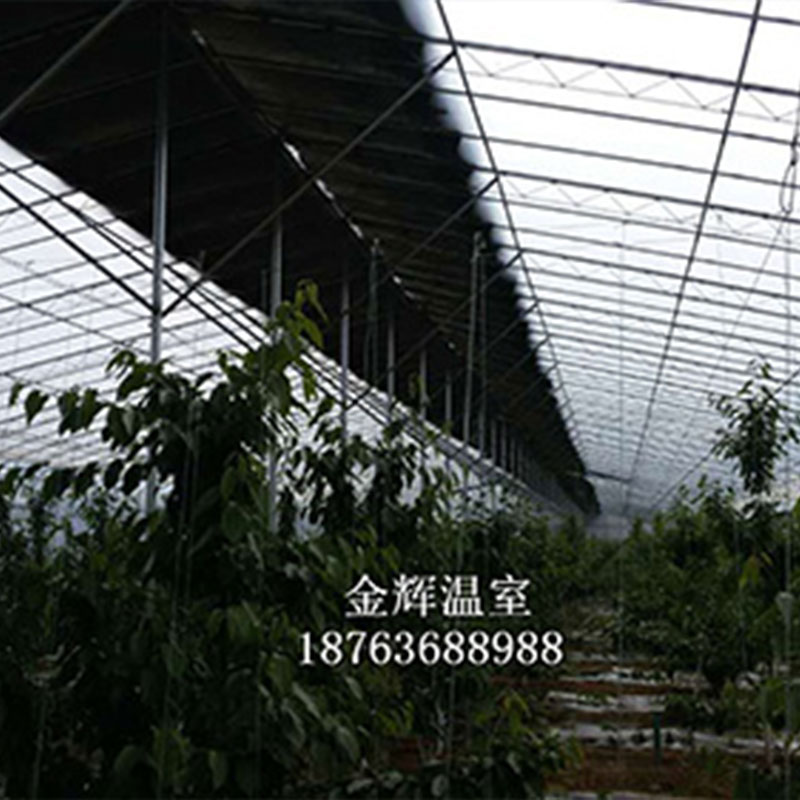 蔬菜瓜果大棚