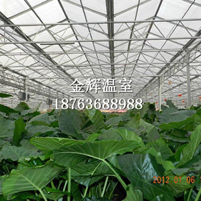 蔬菜瓜果大棚