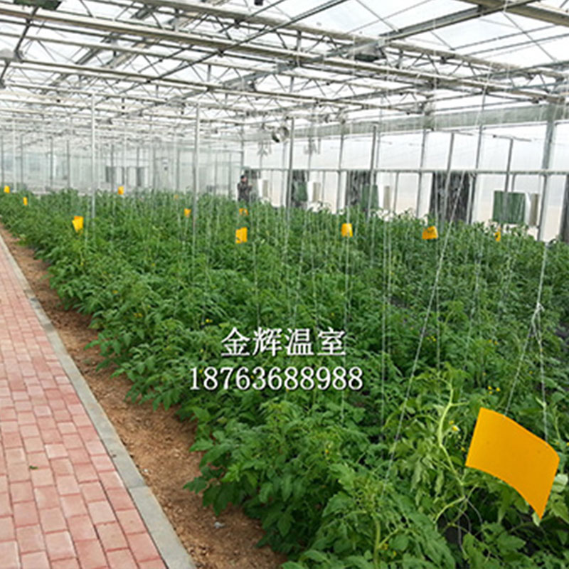 蔬菜瓜果大棚