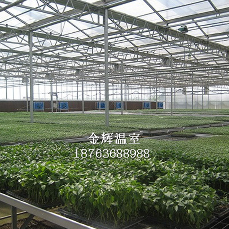 蔬菜瓜果大棚