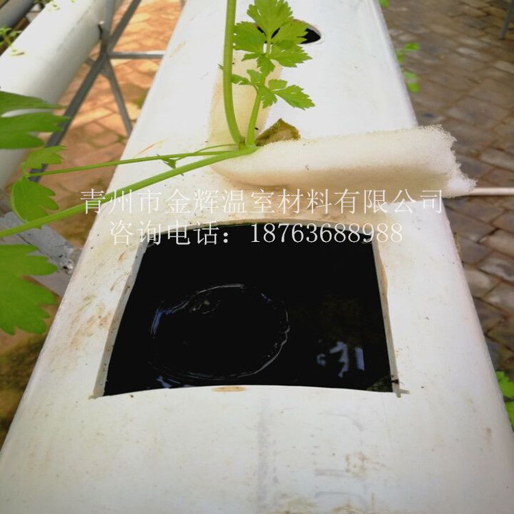 無土栽培景觀