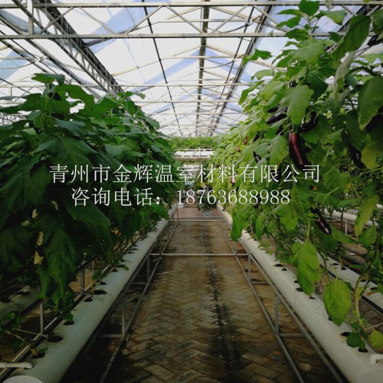 無土栽培景觀